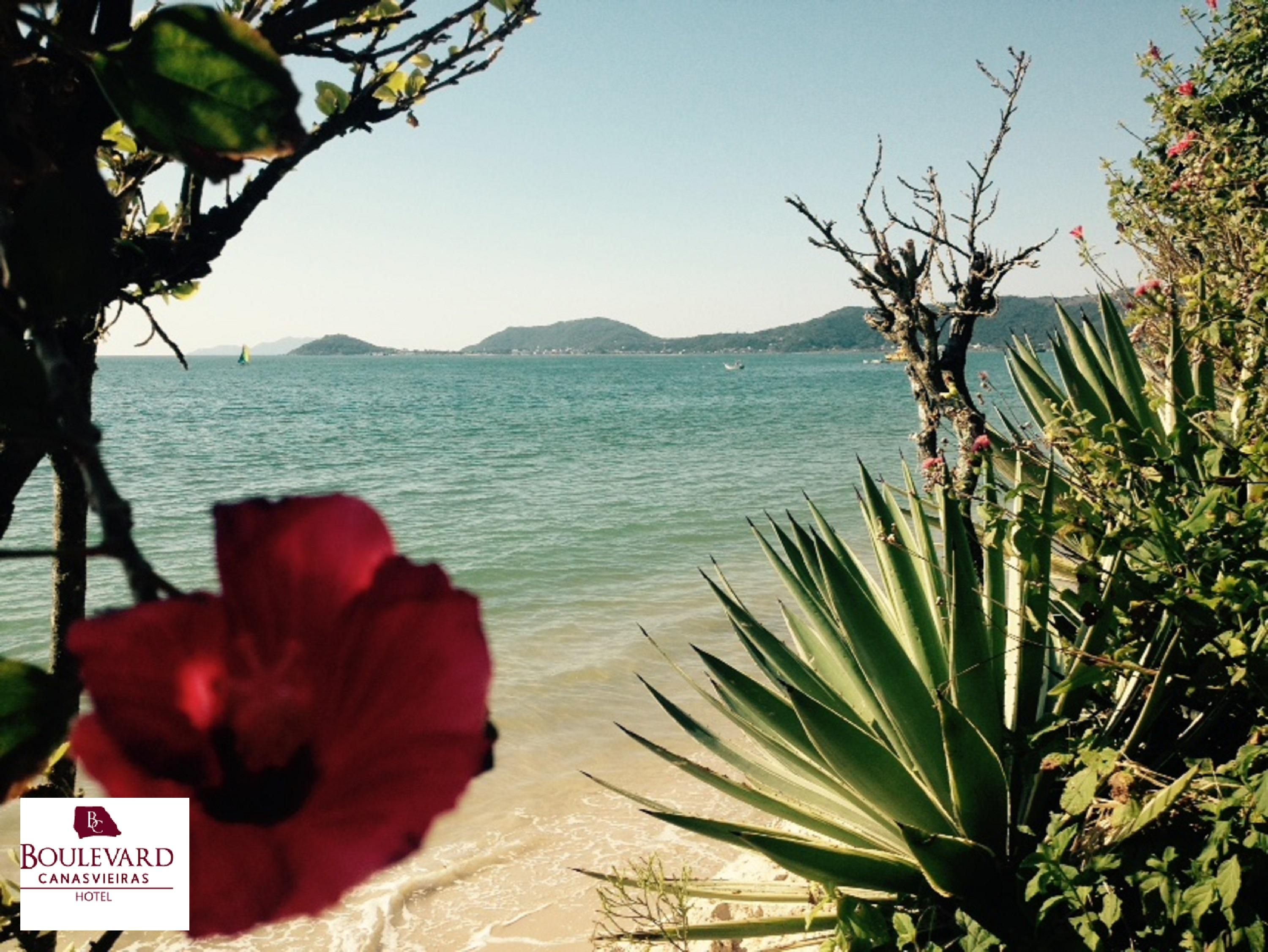 Florianópolis Boulevard Beach Canasvieiras Hotel מראה חיצוני תמונה